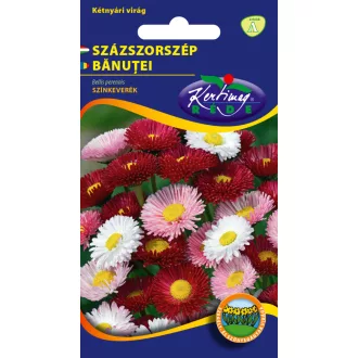 Rédei Százszorszép színkeverék (Virágmag)