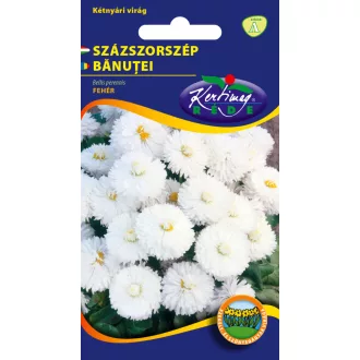 Rédei Százszorszép fehér 0,2 g (Virágmag)