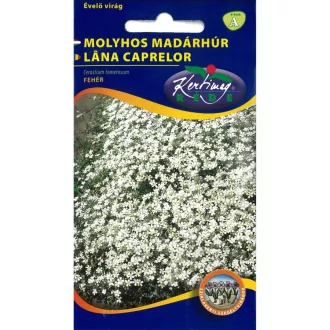 Rédei molyhos madárhúr 0,25g (Virágmag)