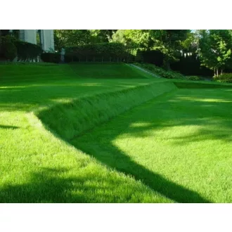 Fűmagkeverék rézsűtöltésre 25 kg/zsák - (550 m2)