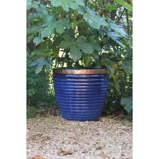 Csigariasztó szalag 4mx30mm – Pók, csótány, csúszómászó ellen