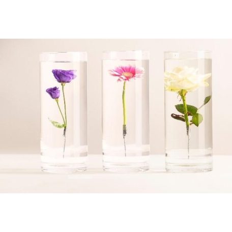 Henger alakú csiptetős váza merülő virágoknak, S AGG80