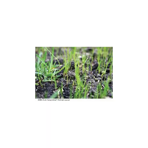ICL Landscaper Pro Performance sport fűmag 5 kg (150 m²)