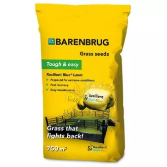 Barenbrug Resilient Blue Lawn sport fűmag 15kg (450-750 m2)