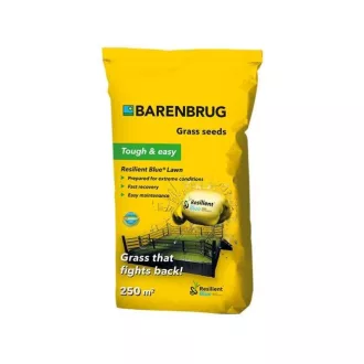 Barenbrug Resilient Blue Lawn sport fűmag 5kg (150-250 m2)