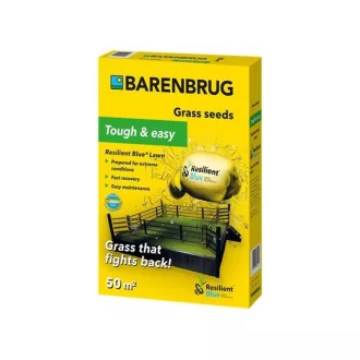 Barenbrug Resilient Blue Lawn sport fűmag 1kg (30-50 m2)