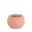 Virágcserép 240 Splofy Bowl 2In1 - Barack – Virágcserepek, virágládák