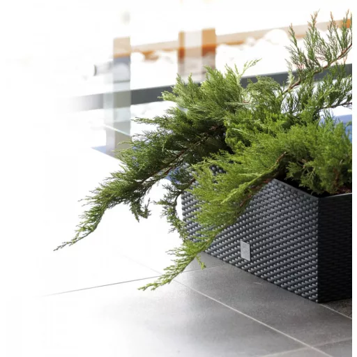 Balkonláda 600 Rato Case 2In1 - Antracit