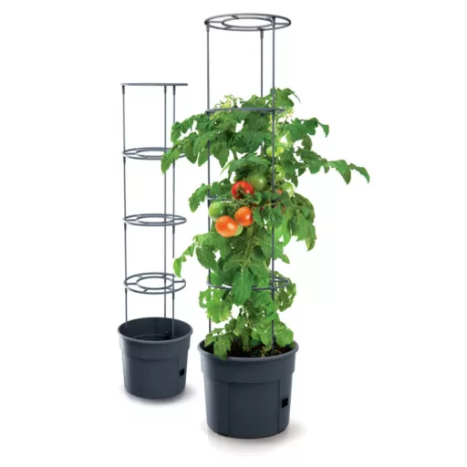 Virágcserép 300 Paradicsom Ültető Szett - Antracit Ipom300