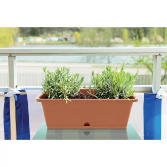 Balkonláda 600 Camelia - Terrakotta