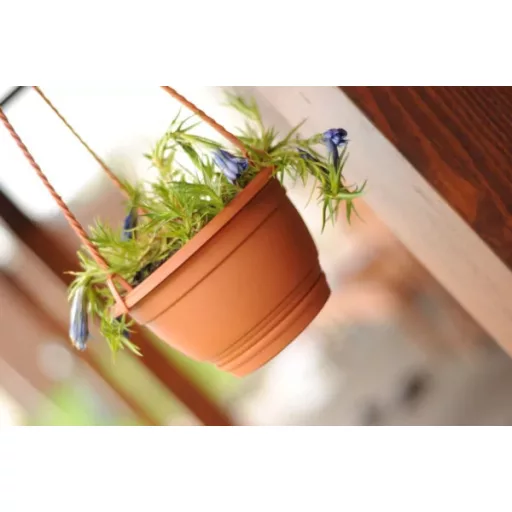 Függőcserép Agro 24Cm - Terrakotta – Virágcserepek, virágládák
