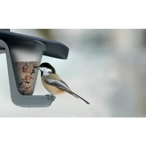 Madáretető Birdyfeed Double - Antracit
