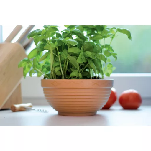 Virágcserép 12 Misa - Terrakotta – Virágcserepek, virágládák