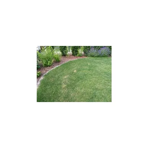 everris-sportmaster-high-k-25kg