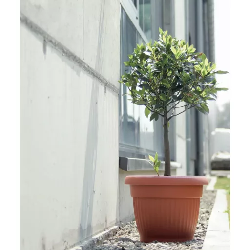 Virágcserép 20 Terra - Terrakotta