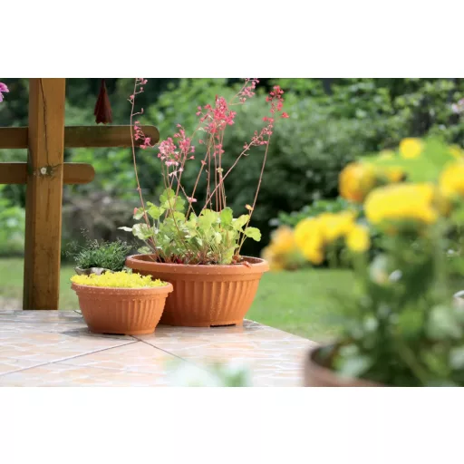 Virágcserép 25 Alacsony Terra - Terrakotta