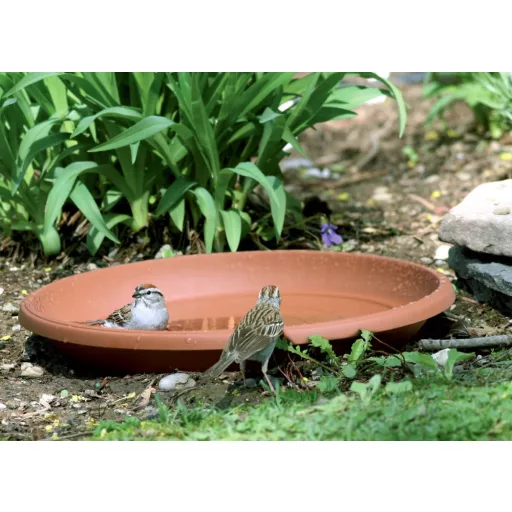 Virágcserép Alátét 09 Terra - Terrakotta