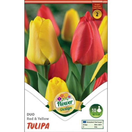 Tulipán Duó piros-sárga / Tulipa Duo Red & Yellow