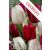 Tulipán Duó bordó-fehér / Tulipa Duo Red & White (LA)