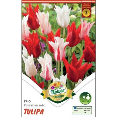 Tulipán Trio Porzellan Mixed / Tulipa Trio Porzellan Mixed (LA)