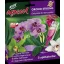 Agrecol orchid strong - növénykondicionáló orchideákhoz 30 ml – Növény, virág- és gyümölcstápok
