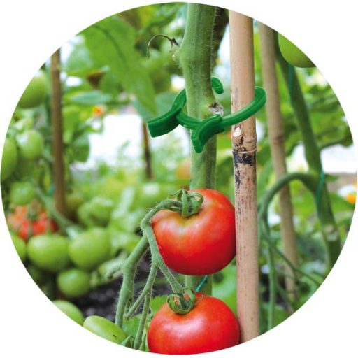 Növényrögzítő csipesz - 3 méret tyk19