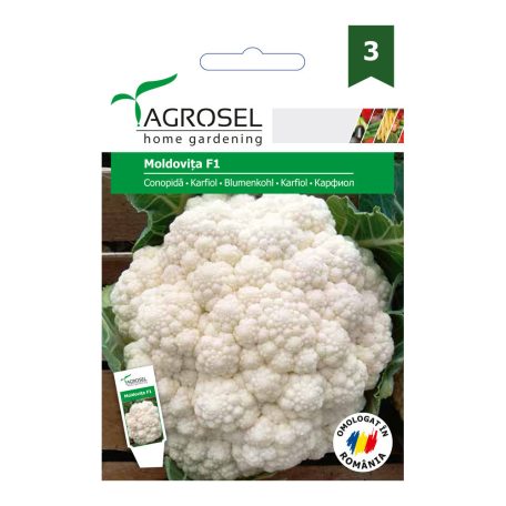 Agrosel Karfiol Conopidă Moldovi?a F1