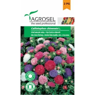 balkonnovenyek-kp-vetomag