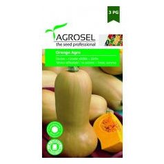 Agrosel PG3 Kanadai sütőtök Orange Agro