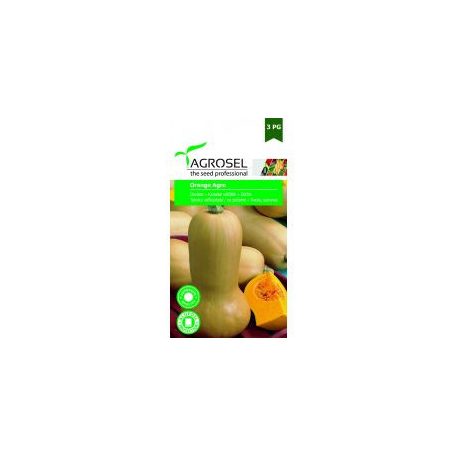 Agrosel PG3 Kanadai sütőtök Orange Agro