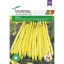 Agrosel PG5 Bokorbab Ileana 45g (Vetőmag) – Palántázás