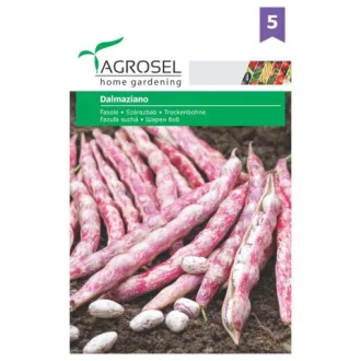 Agrosel PG5 Szárazbab Dalmaziano 45g (Vetőmag) – Palántázás
