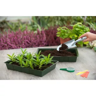 Csíráztató tálca 5,5x35x23,5 cm 5db – Palántázás