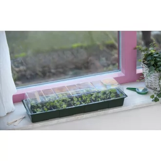 Csíráztató tálca ablakba 10*49*15,5 cm – Palántázás