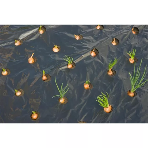 takarofolia-kis-zoldsegekhez-lyukasztott