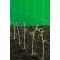 futtato-halo-uv-allo-2x5m