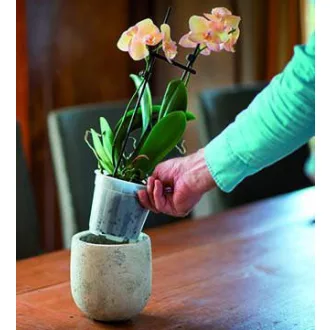 Növénytartály átlátszó  átm. 13cm