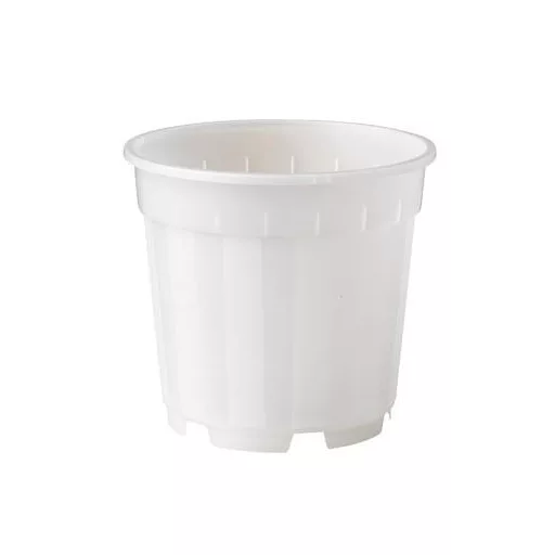 Növénytartály átlátszó  átm. 13cm