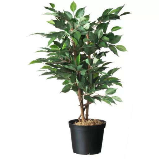 Konténer fekete 4l h17x o21cm szett 3db-os