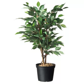 Konténer fekete 10l h22x o28,4cm