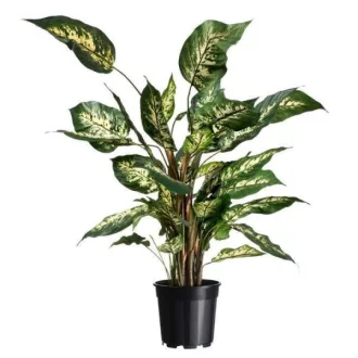 Konténer fekete 4,5l h18,9xo21cm szett 2 db-os – Palántázás