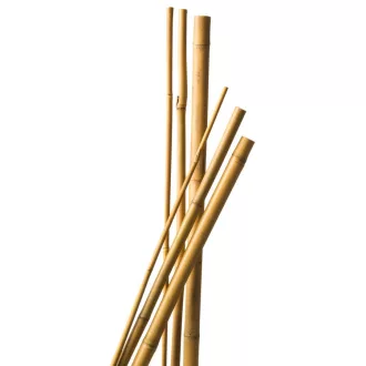 Bambusz növénytámasz 7DB/CSOMAG - d8-10mm, 90 cm natúr – Növénytámaszok