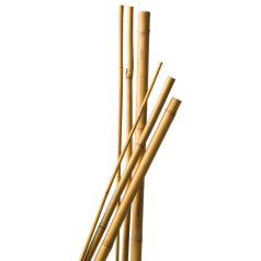 Bambusz növénytámasz 3DB/CSOMAG , d16-18mm 210 cm natur