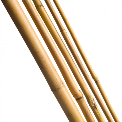 Bambusz növénytámasz 3DB/CSOMAG , d16-18mm 210 cm natur