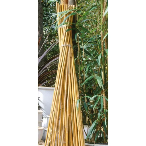 Bambusz növénytámasz 3 db 240 cm natur18/20 mm – Növénytámaszok