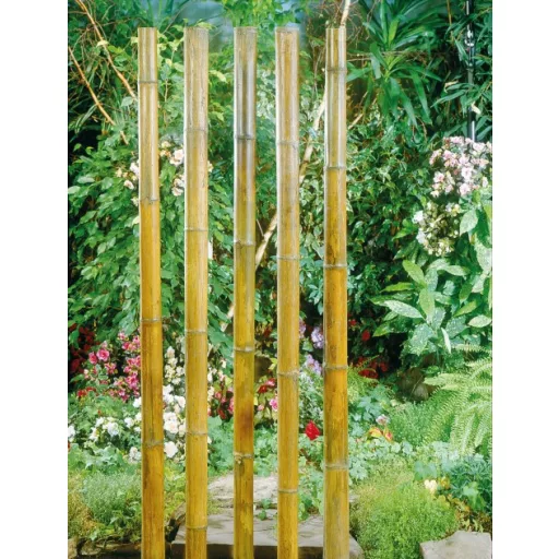 Bambusz növénytámasz vastag 300cm,100/120mm