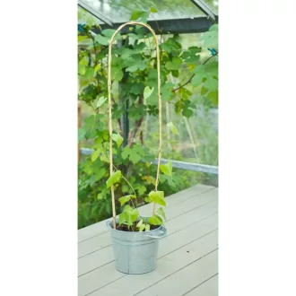 Bambusznád hajlított natúr H60cm O8-10mm szett 3 db-os – Növényfuttató