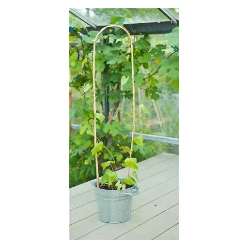 Bambusznád hajlított natúr H150cm O14-16mm szett  3 db-os