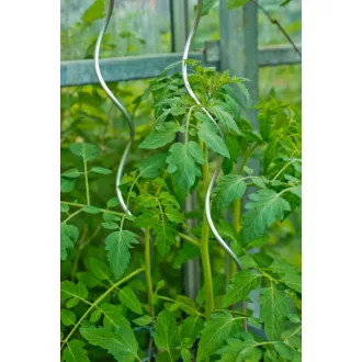 paradicsom-futtato-galvanizalt-1-5m