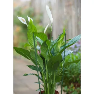   Virágtámasz, műanyaggal bevont fém,zöld,60cmátm.7mm+3db gyűrű átm.18-20-22cm